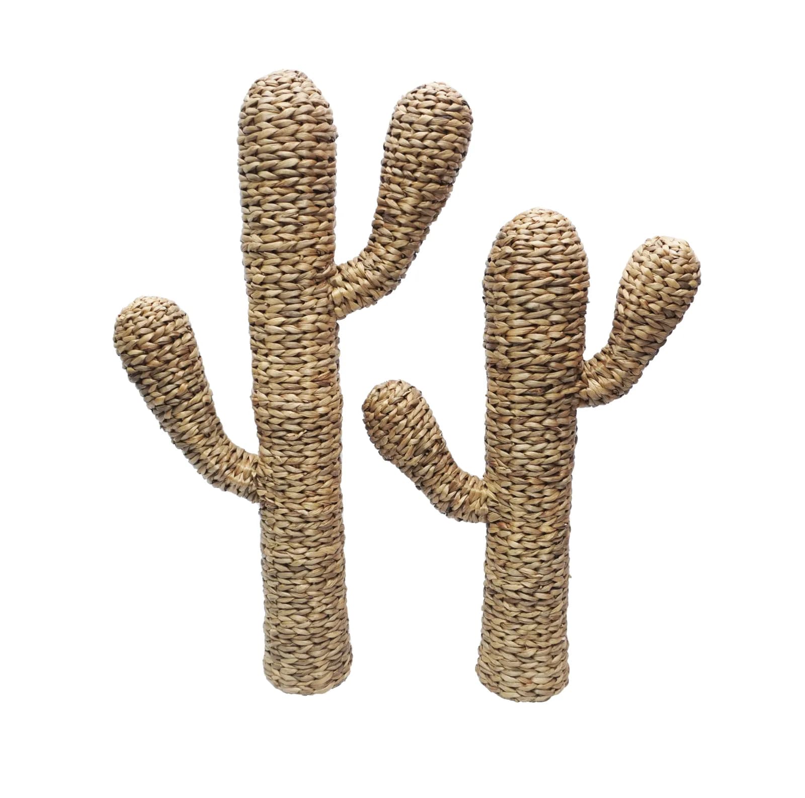 Cactus Decor by Murakabi Craft